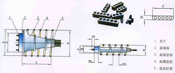 DBM15(13)ϵê