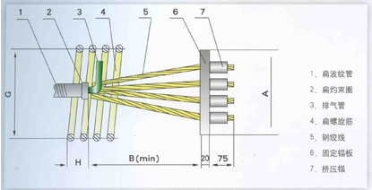 DBM15(13)̶ê